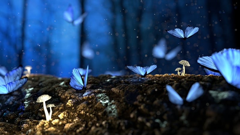 Imaginary Garden